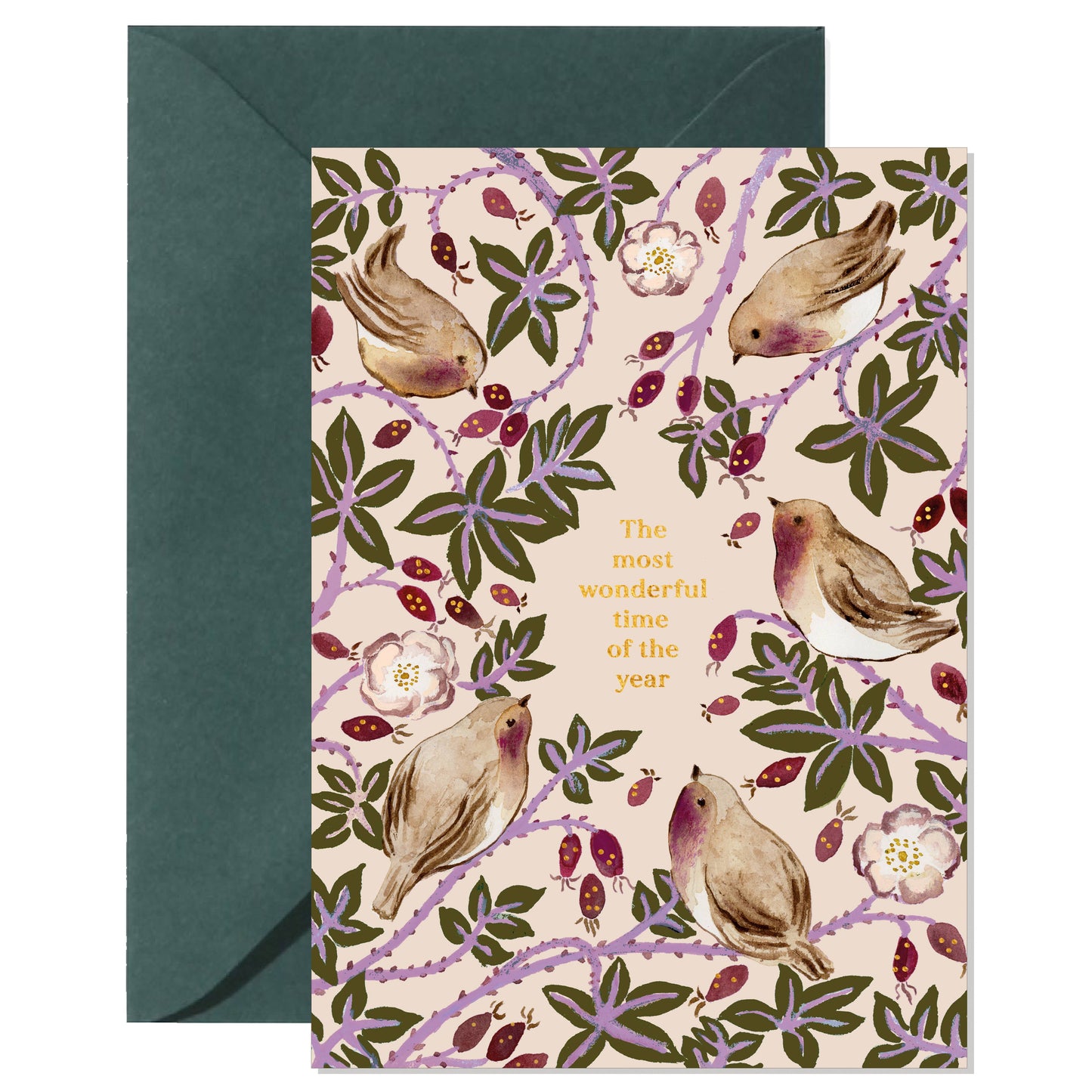 Robins & Rosehip képeslap