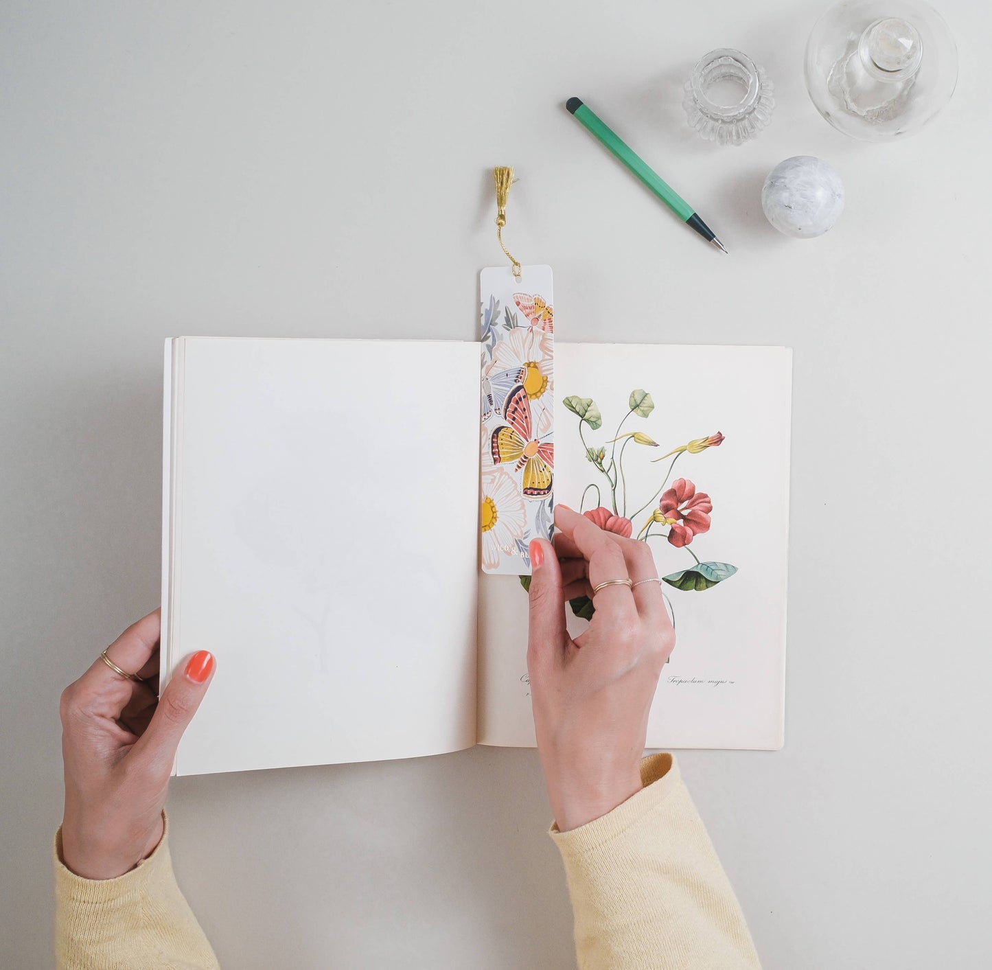 Wild Carrot papír könyvjelző