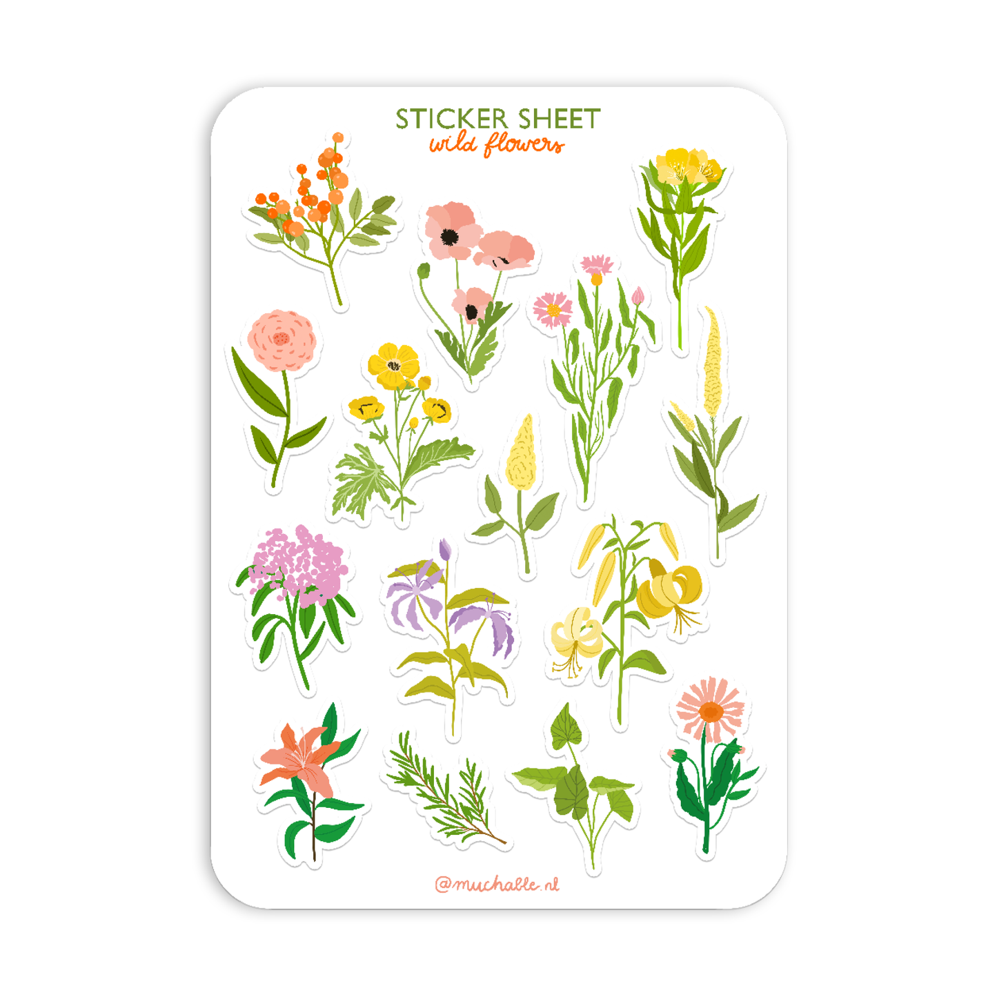 Wild Flowers matricaív • A5