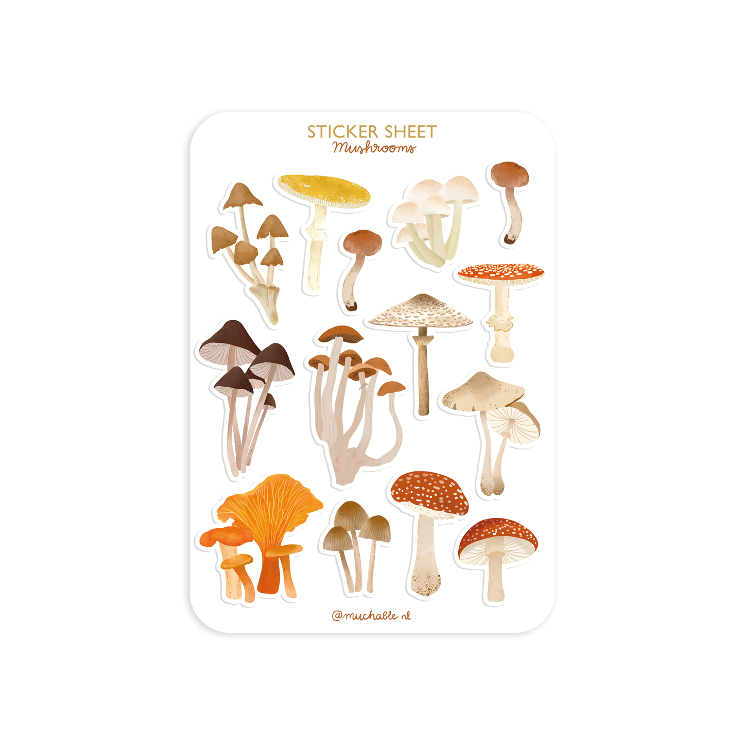 Mushrooms matricaív